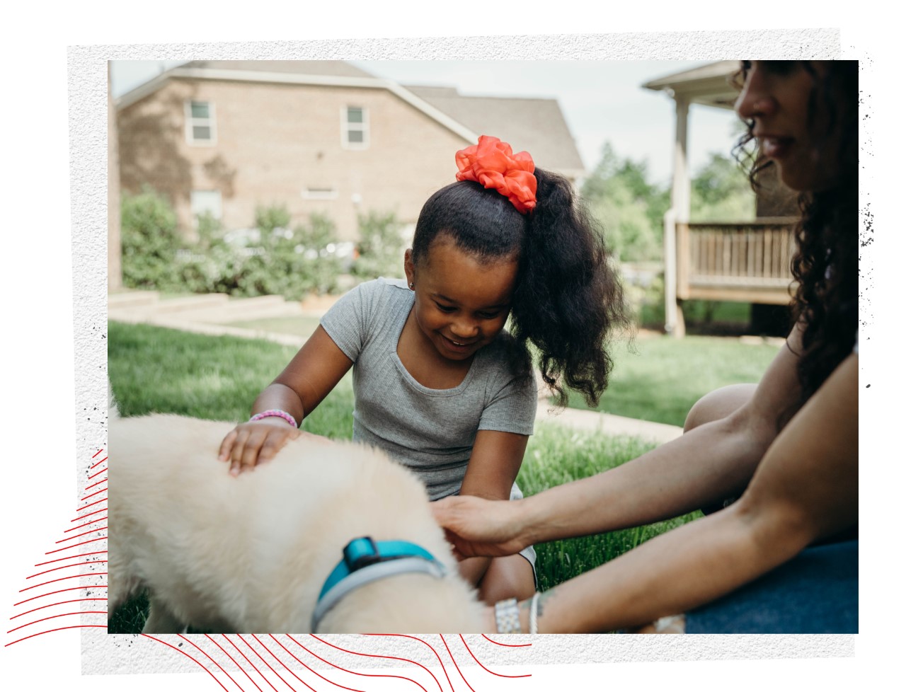 A family sitting together playing with a dog